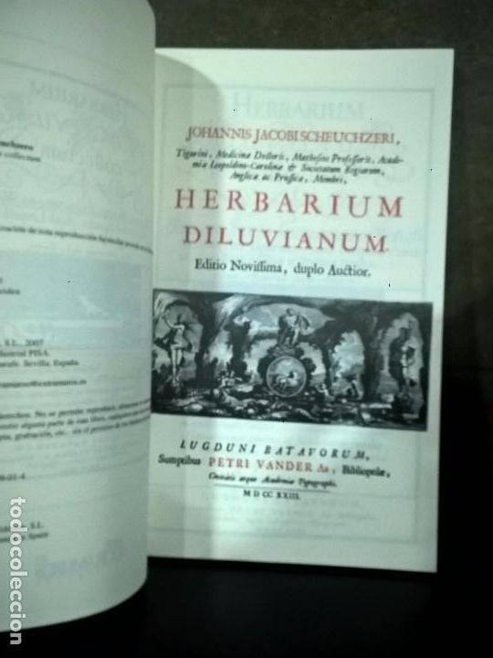 Libros de segunda mano: Herbarium diluvianum collectum (Bot&aacute;nica).Scheuchzero, Johanne Jacobo. - Foto 2