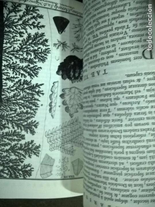 Libros de segunda mano: Herbarium diluvianum collectum (Bot&aacute;nica).Scheuchzero, Johanne Jacobo. - Foto 4