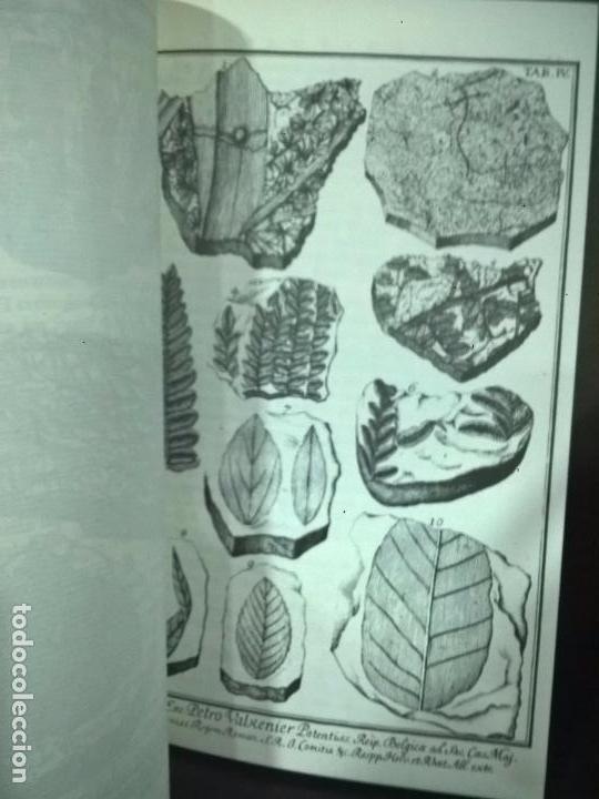 Libros de segunda mano: Herbarium diluvianum collectum (Bot&aacute;nica).Scheuchzero, Johanne Jacobo. - Foto 5