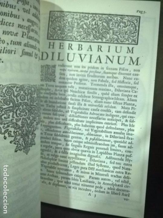 Libros de segunda mano: Herbarium diluvianum collectum (Bot&aacute;nica).Scheuchzero, Johanne Jacobo. - Foto 6
