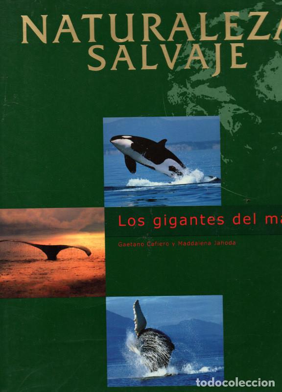 Libros de segunda mano: Naturaleza salvaje: Los gigantes del mar - Foto 1