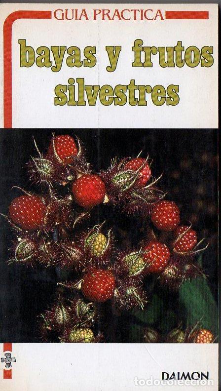 Libros de segunda mano: GU&Iacute;A PR&Aacute;CTICA DE BAYAS Y FRUTOS SILVESTRES (DAIMON, 1986) - Foto 1