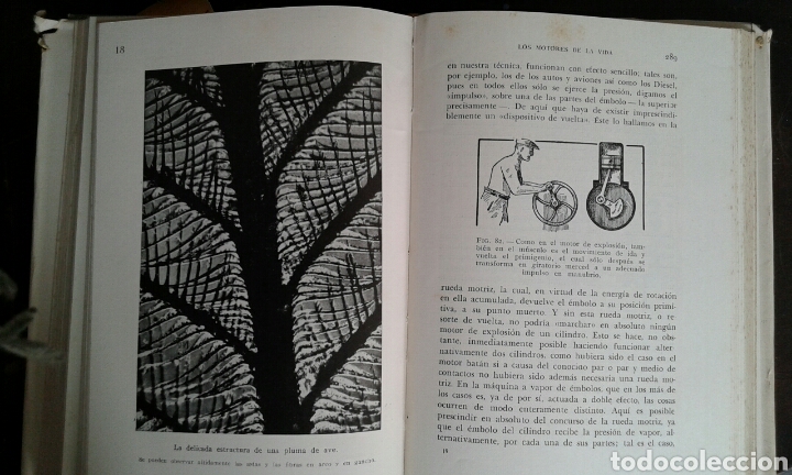 Libros de segunda mano: T&eacute;cnica de la vida, Alexander Niklitschek - Foto 5