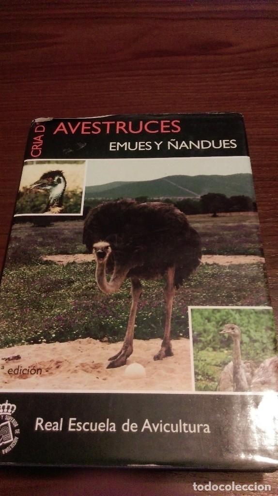 Libros de segunda mano: Cria de avestruces, emues y &ntilde;andues - Foto 1