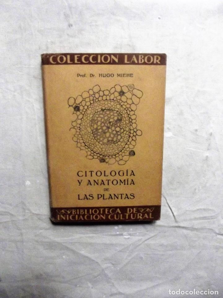 Libros de segunda mano: CITOLOGIA Y ANATOMIA DE LAS PLANTAS DE HUGO MIEHE - Foto 1