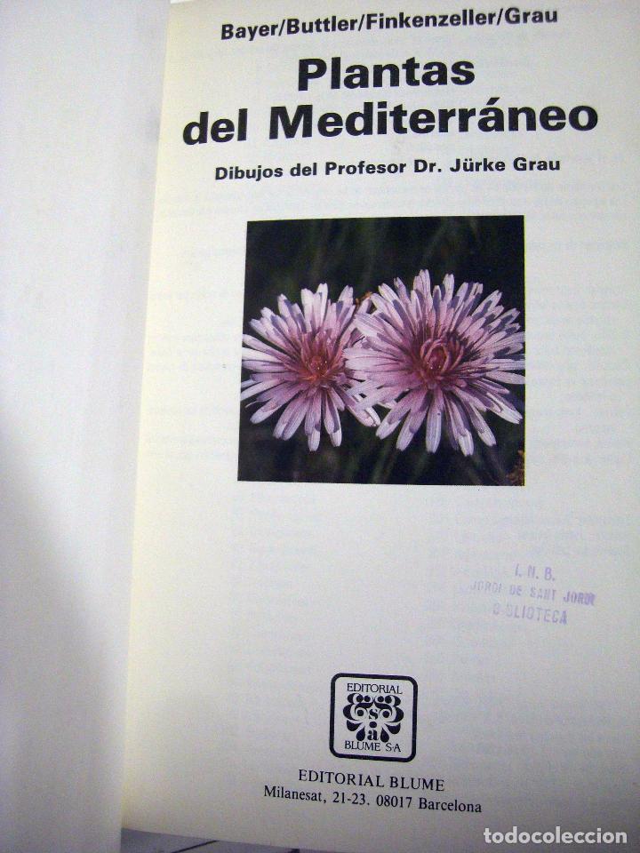 Libros de segunda mano: PLANTAS DEL MEDITERR&Aacute;NEO. BLUME, 1989. - Foto 3