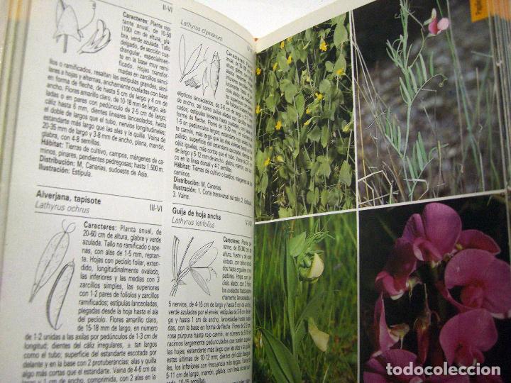 Libros de segunda mano: PLANTAS DEL MEDITERR&Aacute;NEO. BLUME, 1989. - Foto 5