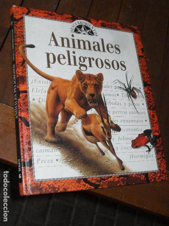 Libros de segunda mano: ANIMALES PELIGROSOS - GRAN ILUSTRACION- Circulo de Lectores - Foto 1