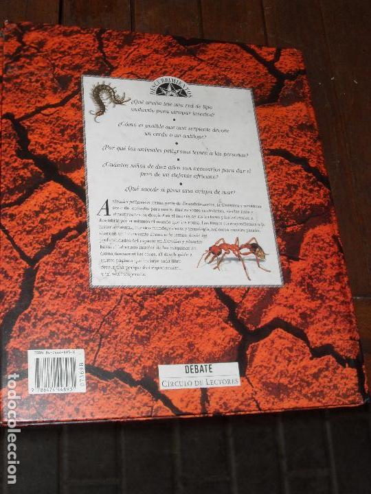 Libros de segunda mano: ANIMALES PELIGROSOS - GRAN ILUSTRACION- Circulo de Lectores - Foto 2