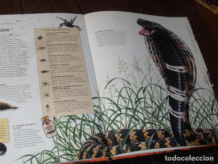 Libros de segunda mano: ANIMALES PELIGROSOS - GRAN ILUSTRACION- Circulo de Lectores - Foto 3