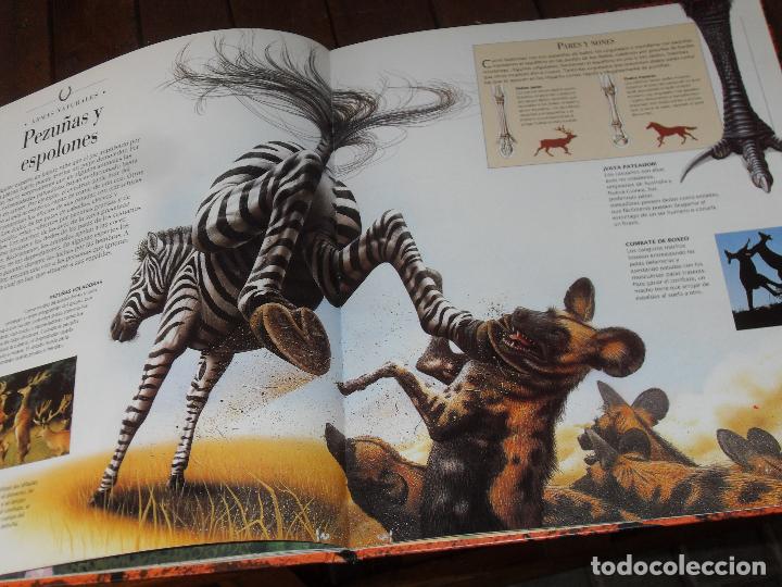 Libros de segunda mano: ANIMALES PELIGROSOS - GRAN ILUSTRACION- Circulo de Lectores - Foto 4