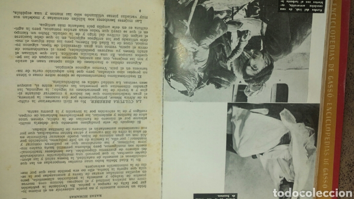 Libros de segunda mano: RAZAS HUMANAS. ENCICLOPEDIAS DE GASS&Oacute; 4&deg; EDICION - Foto 5