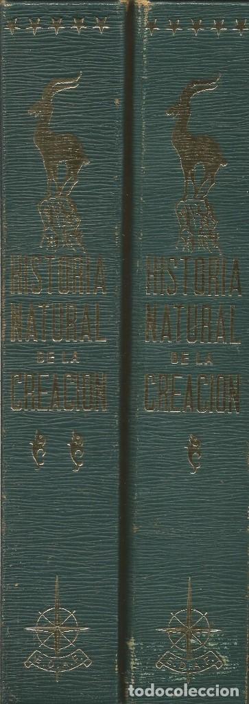 Libros de segunda mano: HISTORIA NATURAL DE LA CREACION EDAF. 2 TOMOS - Foto 1
