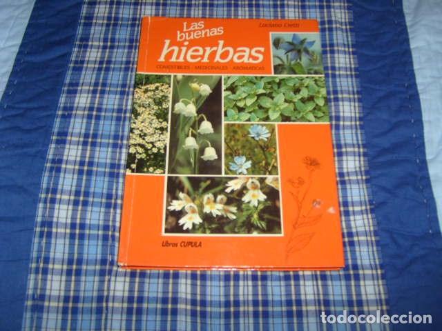 Libros de segunda mano: LAS BUENAS HIERBAS . LUCIANO CRETTI - Foto 1