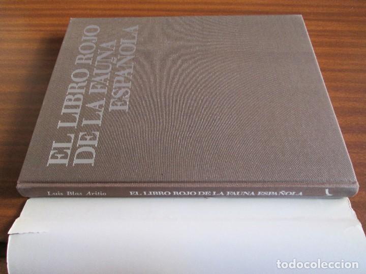 Libros de segunda mano: El libro rojo de la fauna espa&ntilde;ola ~ Luis Blas INCAFO - Foto 2