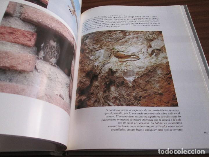 Libros de segunda mano: El libro rojo de la fauna espa&ntilde;ola ~ Luis Blas INCAFO - Foto 6