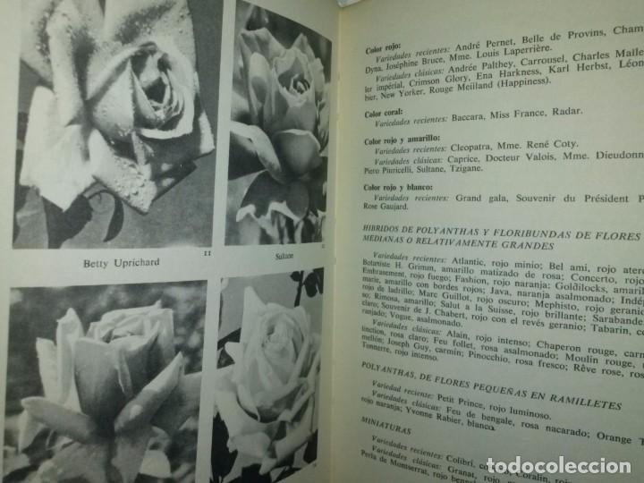 Libros de segunda mano: MIS ROSAS. MIS AMIGAS LAS FLORES - Foto 2