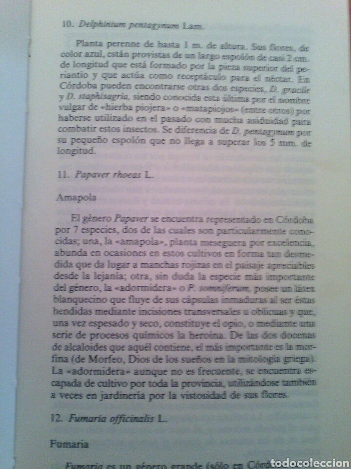 Libros de segunda mano: Flora silvestre de C&oacute;rdoba - Foto 2