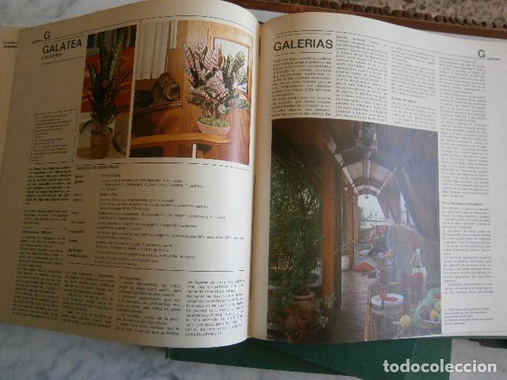 Libros de segunda mano: lote de 6 tomos -  flores en casa - 1974 - Foto 2