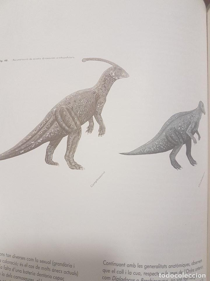 Libros de segunda mano: EL M&Oacute;N DELS DINOSAURES. IL.LUSTRAT. EN CATAL&Agrave;. - Foto 2