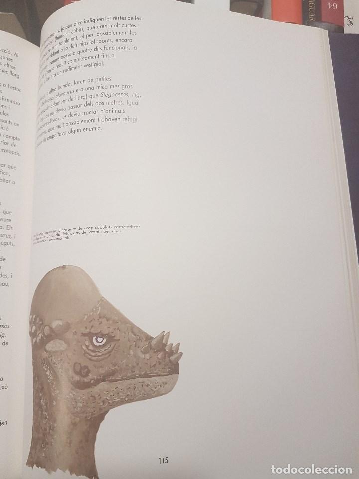 Libros de segunda mano: EL M&Oacute;N DELS DINOSAURES. IL.LUSTRAT. EN CATAL&Agrave;. - Foto 3