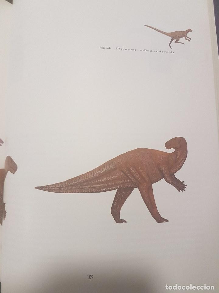 Libros de segunda mano: EL M&Oacute;N DELS DINOSAURES. IL.LUSTRAT. EN CATAL&Agrave;. - Foto 5