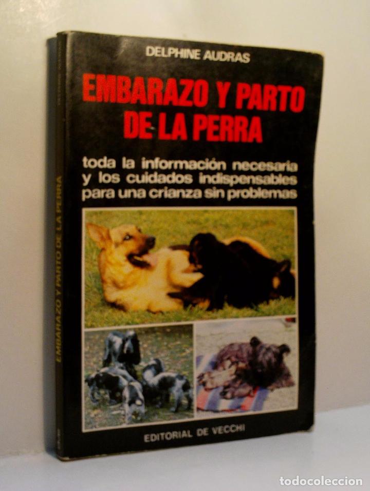 Libros de segunda mano: EMBARAZO Y PARTO DE LA PERRA. AUDRAS Delphine. 1985 - Foto 1