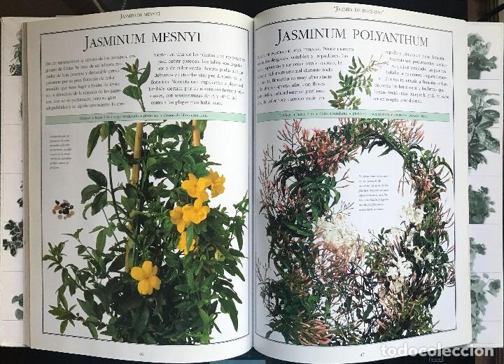 Libros de segunda mano: EL LIBRO DEL JARD&Iacute;N - PLANTAS PARA EL EXTERIOR - Foto 2