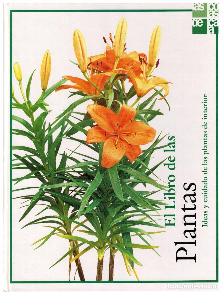 Libros de segunda mano: EL LIBRO DE LAS PLANTAS - IDEAS Y CUIDADO DE LAS PLANTAS DE INTERIOR - Foto 1
