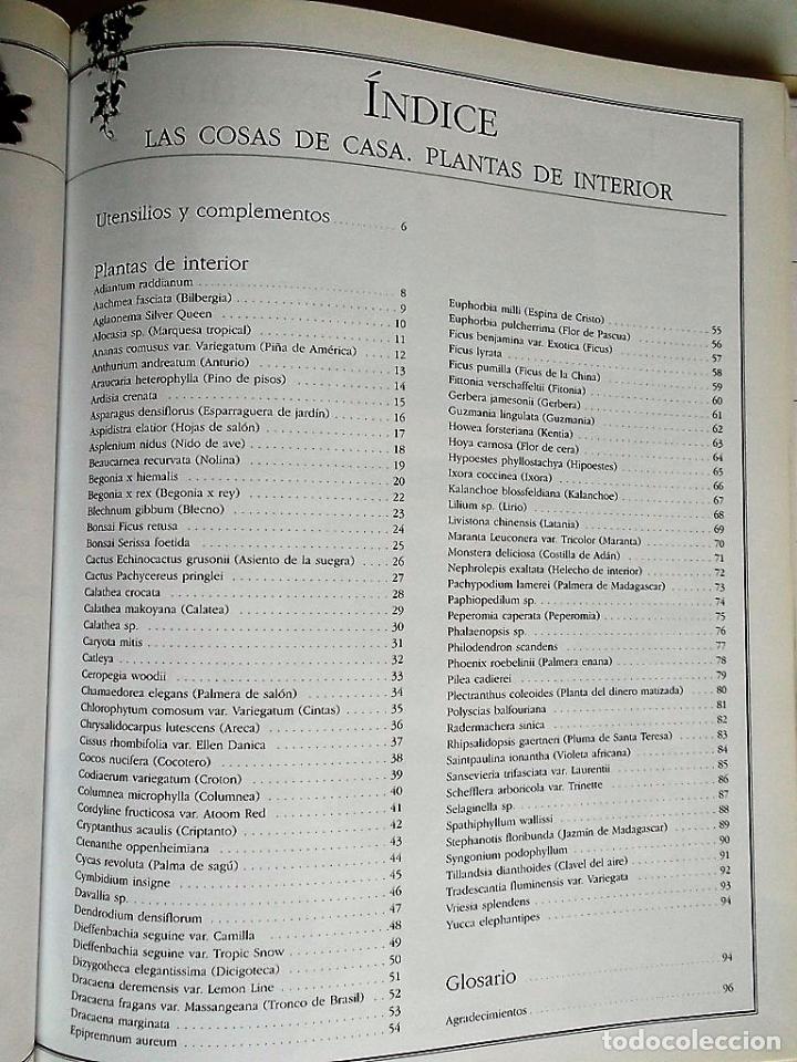 Libros de segunda mano: El Libro de las Plantas. Ideas y cuidado de las plantas de interior. Ediciones Primera Plana. - Foto 2