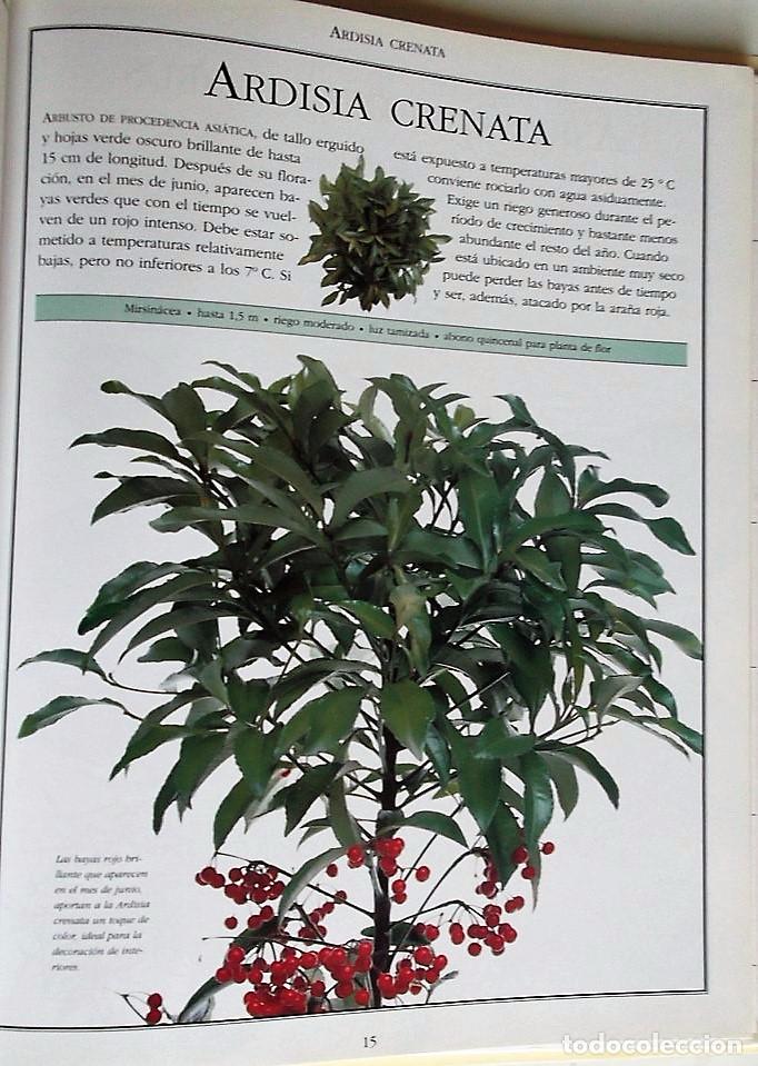 Libros de segunda mano: El Libro de las Plantas. Ideas y cuidado de las plantas de interior. Ediciones Primera Plana. - Foto 4