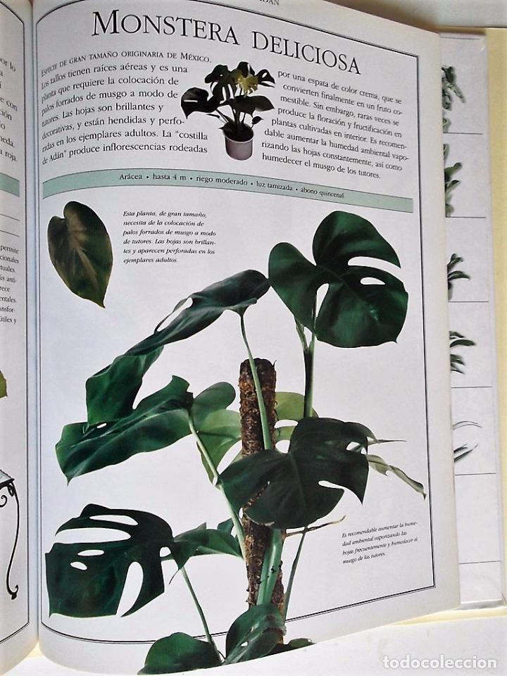 Libros de segunda mano: El Libro de las Plantas. Ideas y cuidado de las plantas de interior. Ediciones Primera Plana. - Foto 6