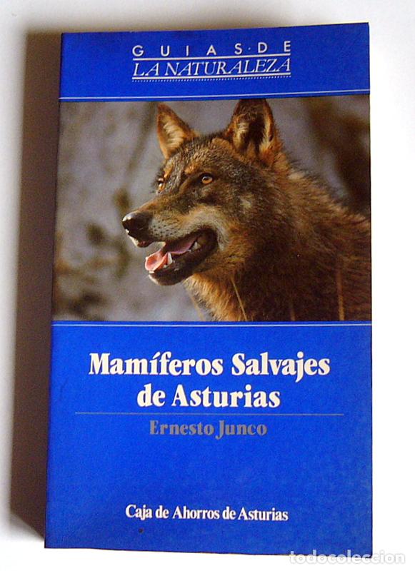 Libros de segunda mano: MAMIFEROS SALVAJES DE ASTURIAS - ERNESTO JUNCO - Foto 1