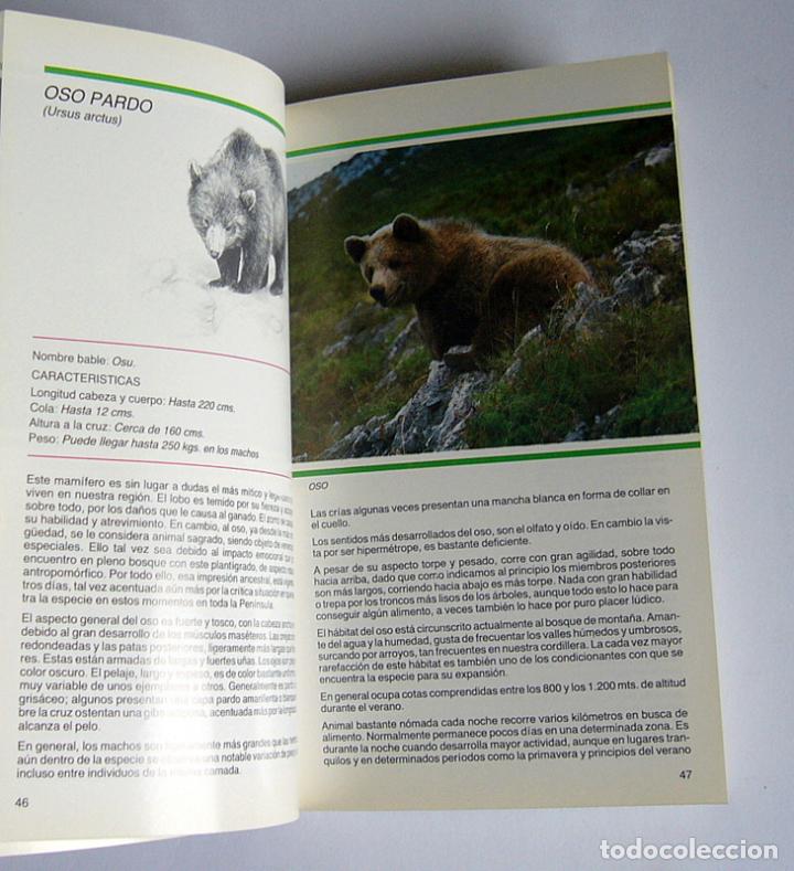 Libros de segunda mano: MAMIFEROS SALVAJES DE ASTURIAS - ERNESTO JUNCO - Foto 2