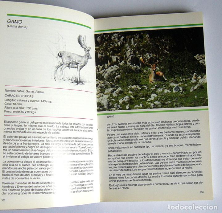 Libros de segunda mano: MAMIFEROS SALVAJES DE ASTURIAS - ERNESTO JUNCO - Foto 3