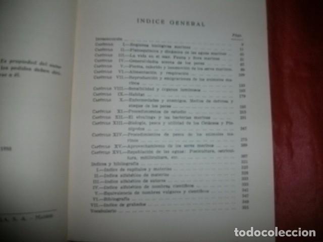 Libros de segunda mano: LA VIDA EN EL MAR Y EN LOS R&Iacute;OS - LUIS D&Iacute;EZ JIM&Eacute;NEZ - Foto 2