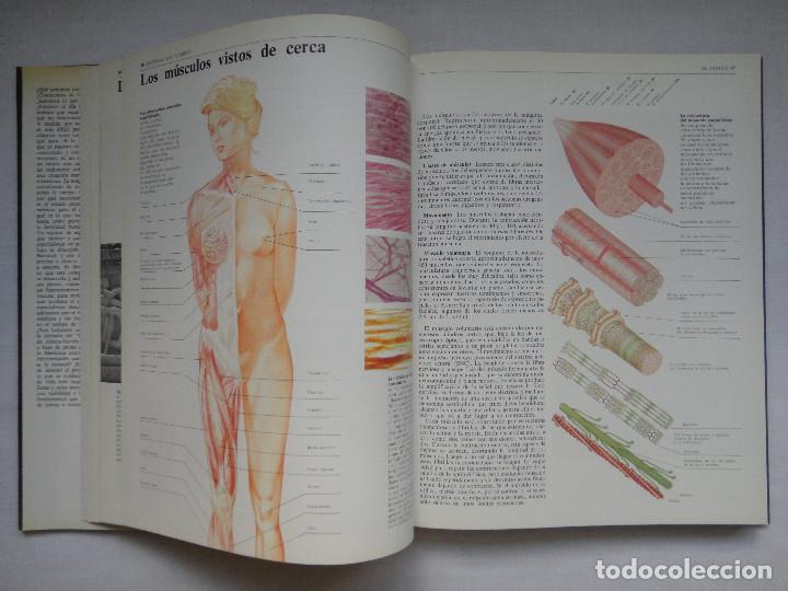 Libros de segunda mano: LA M&Aacute;QUINA DEL CUERPO. EXCELENTE ESTADO!!! - Foto 2