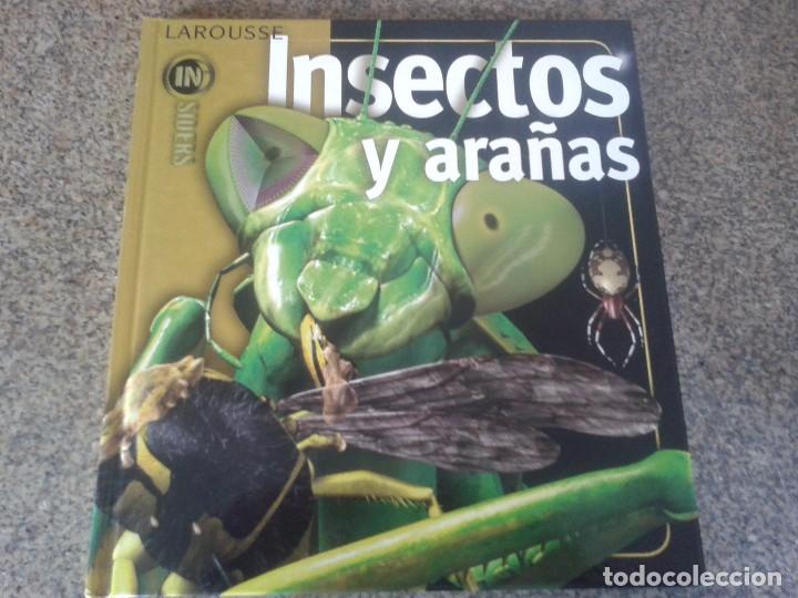 Libros de segunda mano: INSECTOS Y ARAÑAS -- NOEL TAIT -- LAROUSSE - 2009 -- - Foto 1 - 303953078