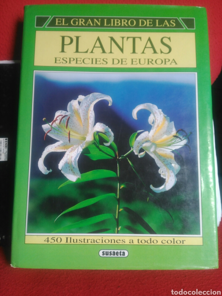 El Gran Libro De Las Plantas Especies De Europ Comprar Libros De