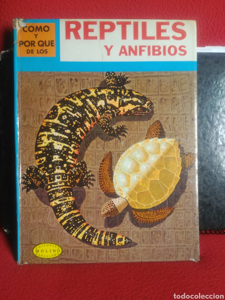 Libros de segunda mano: Reptiles y anfibios. Ed: Molino - Foto 1