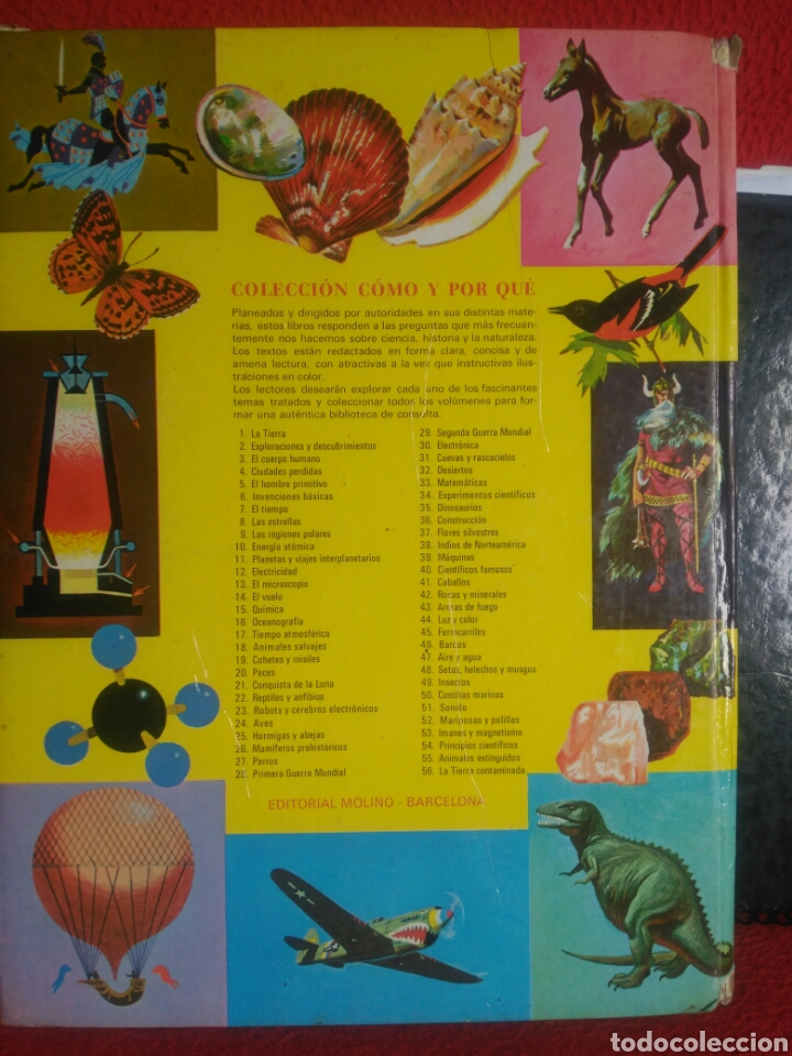 Libros de segunda mano: Reptiles y anfibios. Ed: Molino - Foto 2