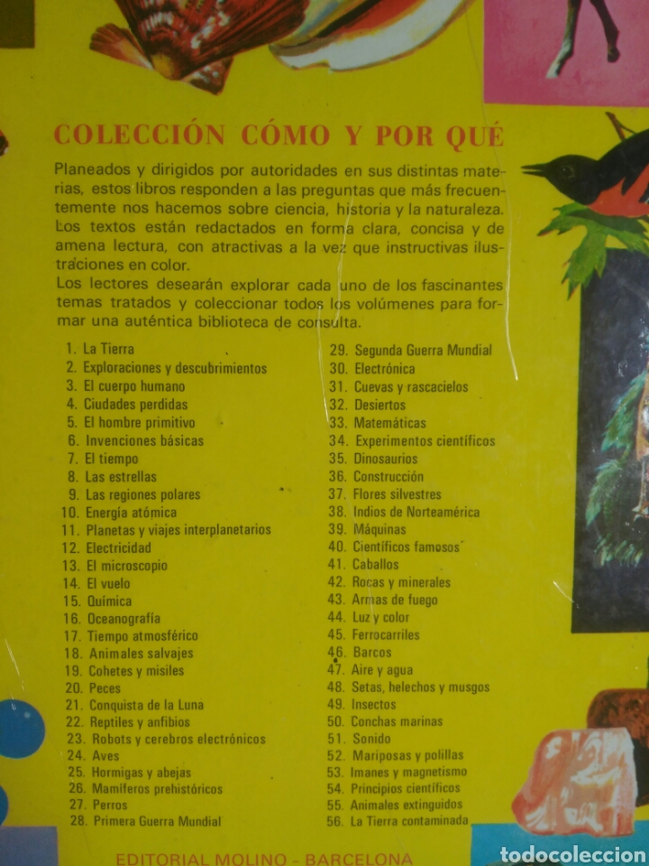 Libros de segunda mano: Reptiles y anfibios. Ed: Molino - Foto 3