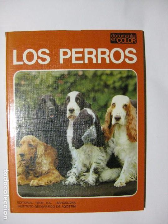 Libros de segunda mano: LOS PERROS - ADRIANO TORREGROSSA - EDITORIAL TEIDE - DOCUMENTAL EN COLOR - Foto 1