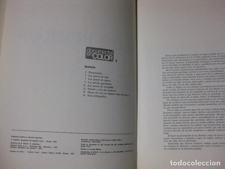 Libros de segunda mano: LOS PERROS - ADRIANO TORREGROSSA - EDITORIAL TEIDE - DOCUMENTAL EN COLOR - Foto 2