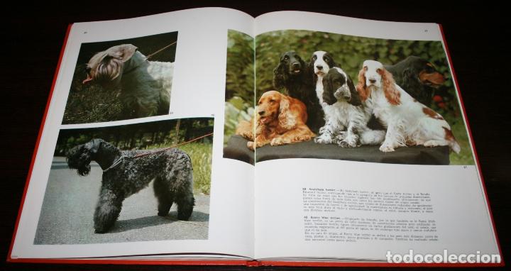 Libros de segunda mano: DOCUMENTAL EN COLOR - LOS PERROS - ED. TEIDE / INST. GEOGRAFICO DE AGOSTINI - 1972 - Foto 2