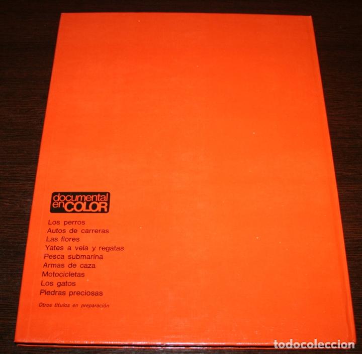 Libros de segunda mano: DOCUMENTAL EN COLOR - LOS PERROS - ED. TEIDE / INST. GEOGRAFICO DE AGOSTINI - 1972 - Foto 4
