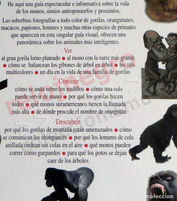 Gorilas Libro Ian Redmond Muy Ilustrado Monos Fauna Biología Ciencias Primates Guía De Altea - 