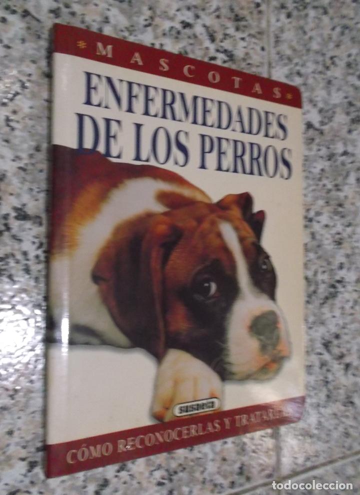 Libros de segunda mano: ENFERMEDADES DE LOS PERROS - MASCOTAS. - Foto 1