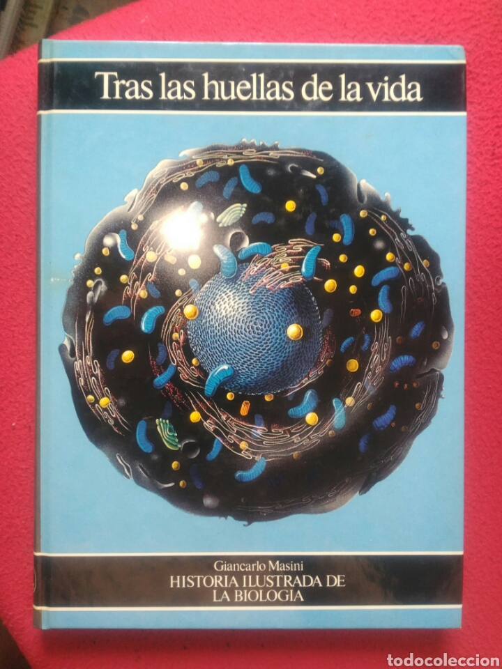 Libros de segunda mano: Tras las huellas de la vida. Giancarlo Masini - Foto 1