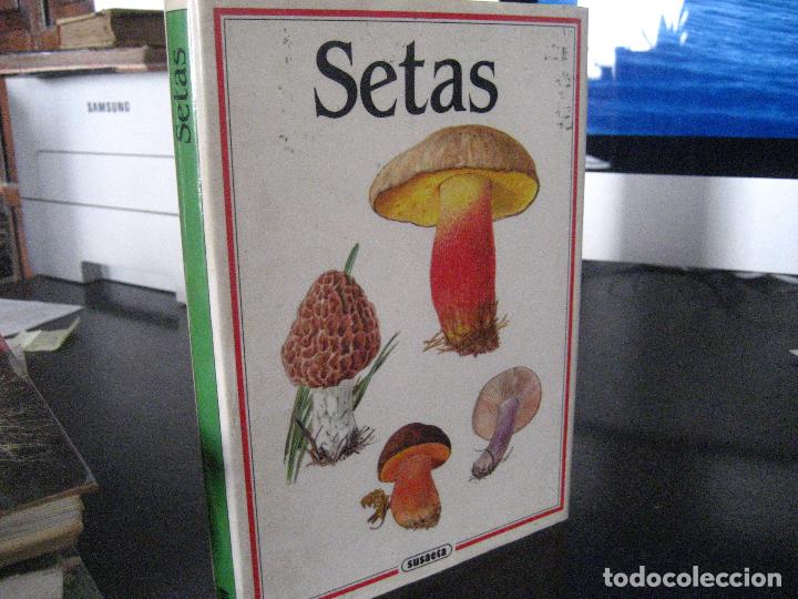 Libros de segunda mano: SETAS, GEORGE BECKER, ED. SUSAETA, BIOLOG&Iacute;A BS 54 - Foto 1